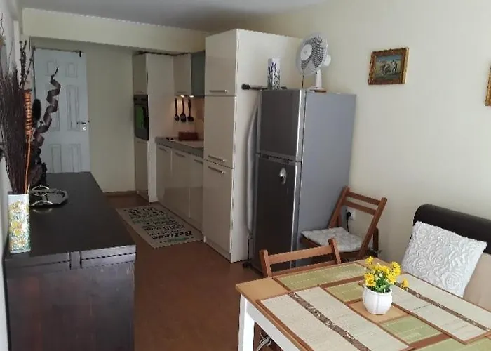 Apartment Cozy In The Hart Of The